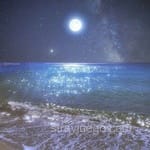 Avatar de Rocío Coronado